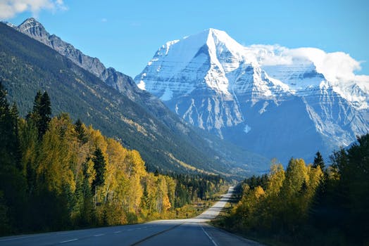 Denise Forest: Chiseled Mountains